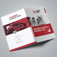 250 Brochures 8.5